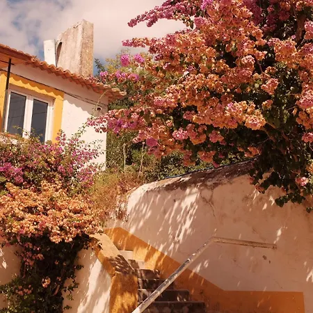 Σπίτι διακοπών Quinta Do Boicao *