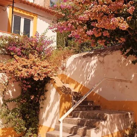 Quinta Do Boicao Σπίτι διακοπών Lisboa