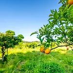Quinta Do Boicao Holiday home Lisbon