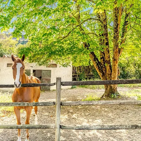 Quinta Do Boicao Vakantiehuis