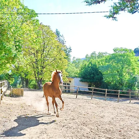 Quinta Do Boicao Lissabon