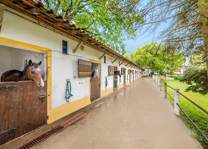 Quinta Do Boição * Lisboa