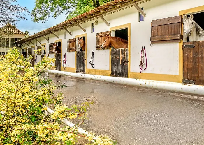 Hébergement de vacances Quinta Do Boição *