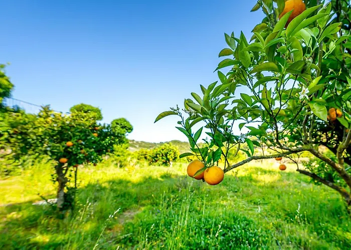 Quinta Do Boição Hébergement de vacances Lisboa