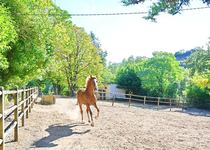 Quinta Do Boição Lisboa