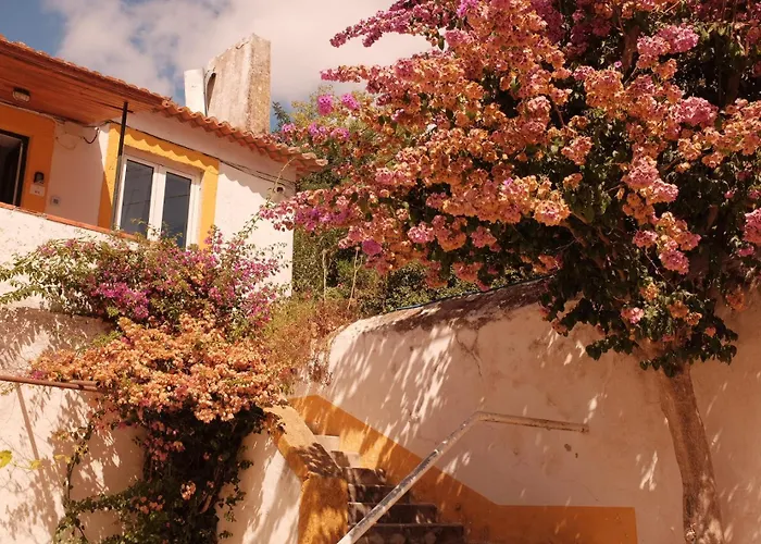 Hébergement de vacances Quinta Do Boição *