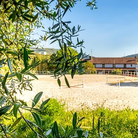 Quinta Do Boicao Vakantiehuis Lissabon