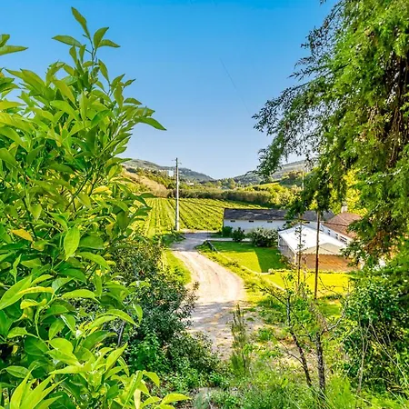 Quinta Do Boição