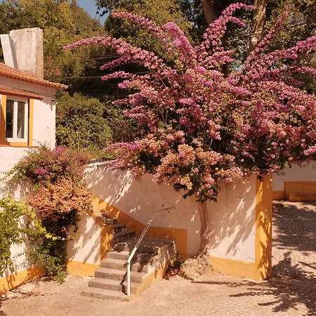 Casa vacanze Quinta Do Boicao Lisbona