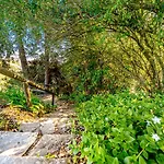 Quinta Do Boicao * Lisboa