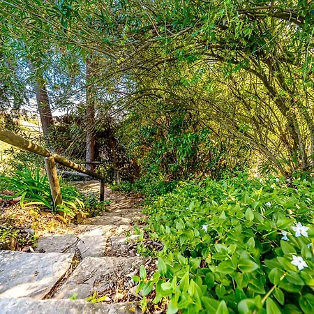 Quinta Do Boicao * 리스본